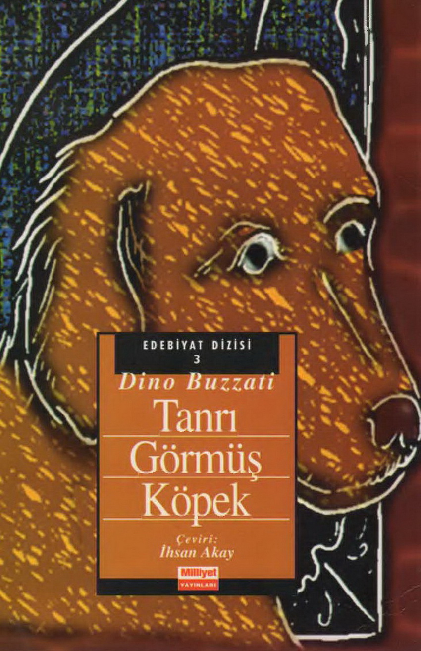 Tanrı Görmüş Köpek - Dino Buzzati 