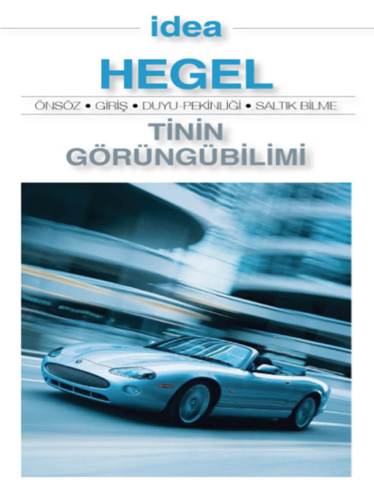 Tinin Görüngübilimi - Hegel 